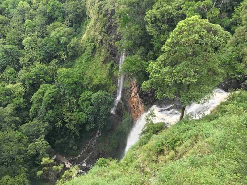 Noosa: Maleny & Montville Tour with Lunch & Wine Tasting - Key Points