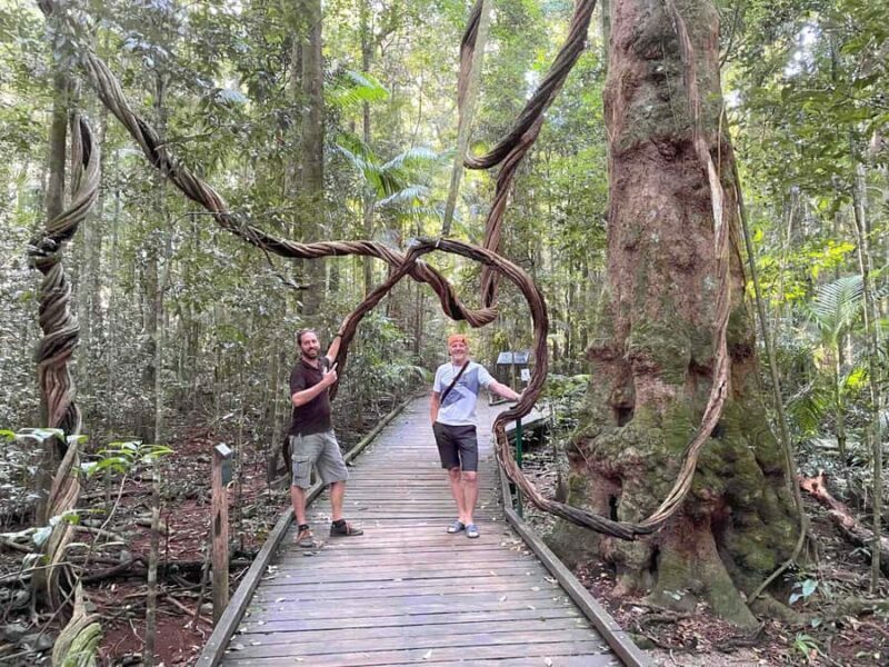 Noosa: Maleny & Montville Tour with Lunch & Wine Tasting - Frequently Asked Questions