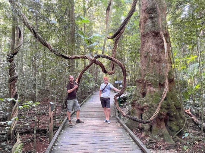 Noosa: Maleny & Montville Tour With Lunch & Wine Tasting - Customer Reviews