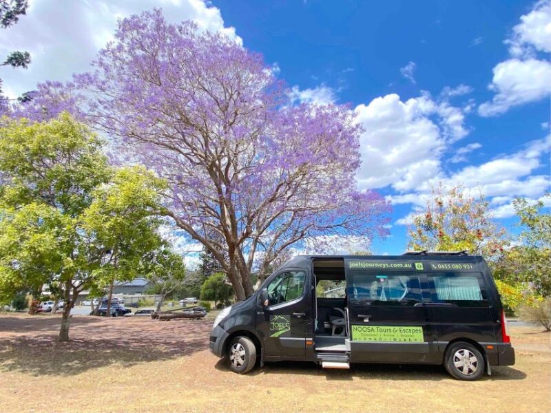 Noosa: Mary Valley Tour With Mary Valley Rattler and Lunch - Lunch and Free Time in Kenilworth