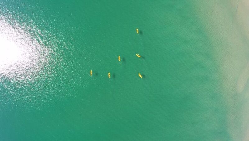 Noosa: Private Double Island Point Wildlife Adventure - Key Points