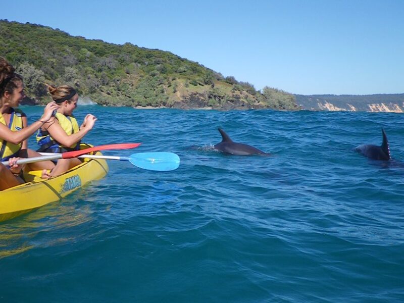 Noosa: Private Double Island Point Wildlife Adventure - Highlights of the 4X4 Experience