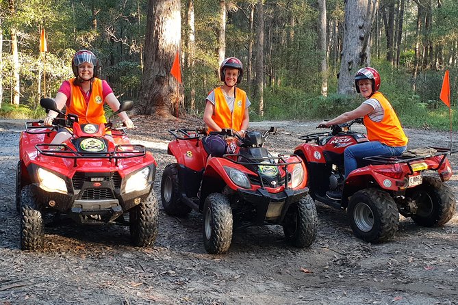 Noosa Quad Bike Tours - Group Size