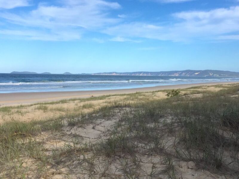Noosa: Rainbow Beach Tour via Noosa Hinterland and Cooloola - Great Sandy National Parks Freshwater Creek