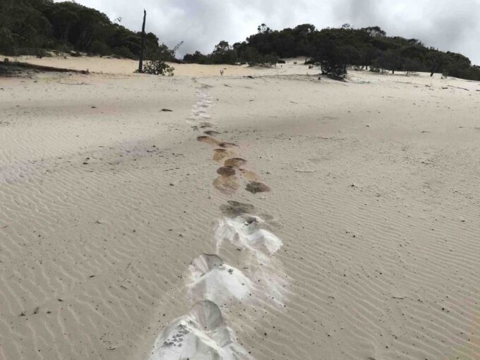 Noosa: Rainbow Beach Tour via Noosa Hinterland and Cooloola - Inclusions and Pricing Details
