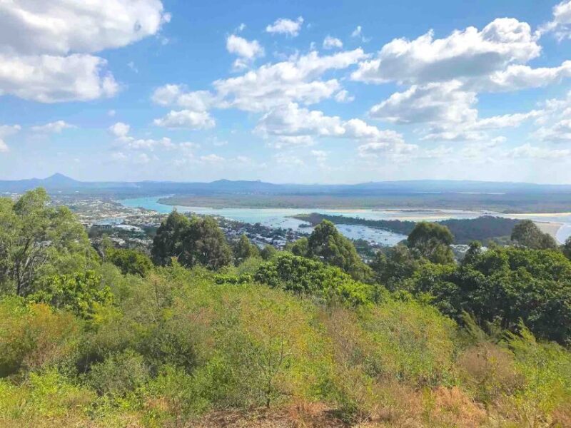 Noosa: Secrets of Noosa Tour With Lunch Nature & River Ferry - Pickup and Transportation
