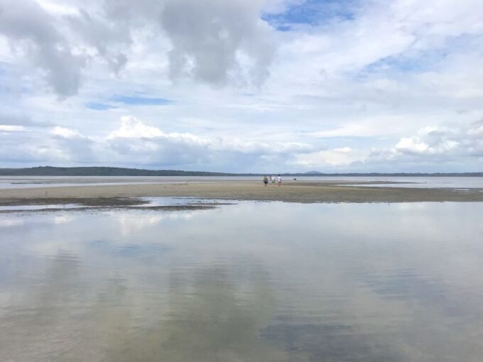 Noosa: Secrets of Noosa Tour With Lunch Nature & River Ferry - Noosas Creek, Lake System, and Birdlife