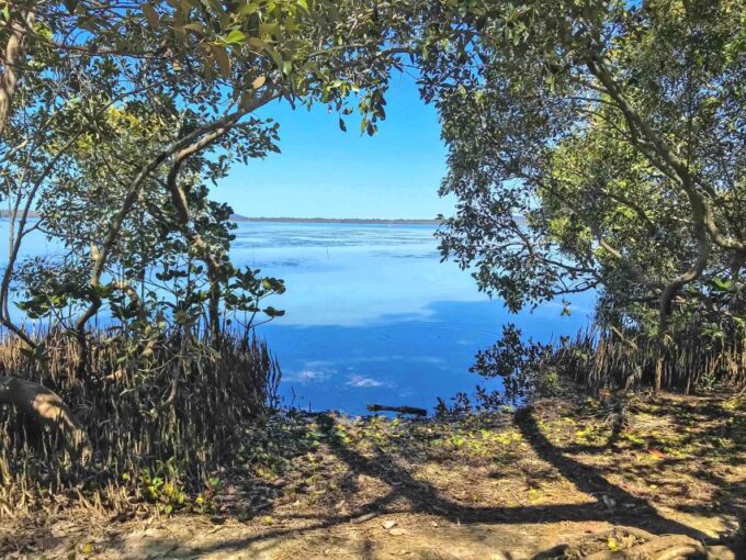 Noosa: Secrets of Noosa Tour With Lunch Nature & River Ferry - Tewantins Historical Center and Noosa Regional Gallery