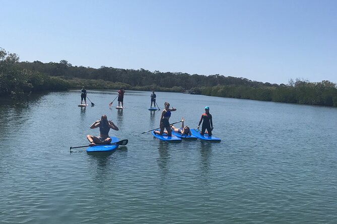 Noosa Stand Up Paddle Group Lesson - Exploring Noosa River