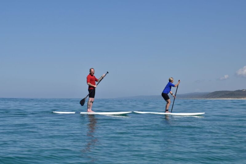 Noosa: Stand Up Paddle Lesson Double Island Adventure - Highlights