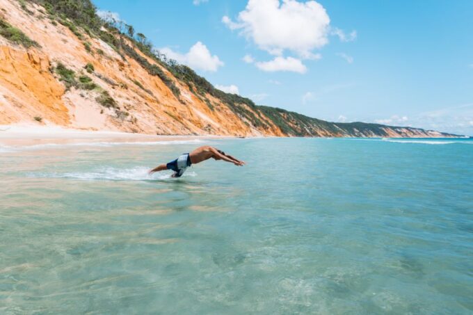 Noosa to Rainbow Beach: 4-Wheel Drive Tour in Great Sandy NP - Picnic Spot With Lizards