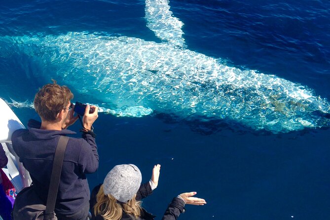 Noosa Whale Watching - Customer Feedback and Management Response