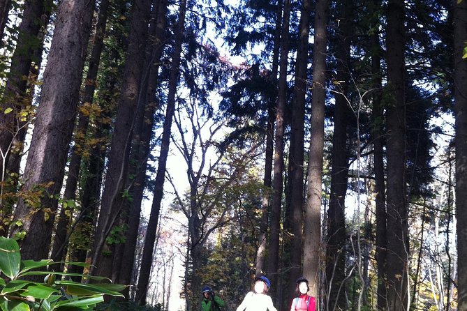 Nopporo Forest Mountain Bike Tour From Sapporo, Presenting a Retro Cycle Cap - Seasonal Availability