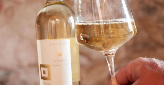 Nora + Antigori Winery Tour With Included Tickets - Booking and Payment Options