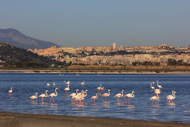 Nora Tour From Cagliari - Phoenician and Roman Ruins
