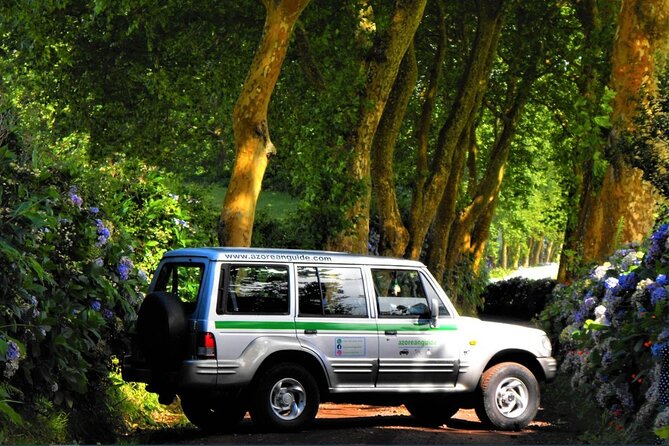 Nordeste - Wilderness Nature - Private Jeep Tour With Local Guide - Reviews and Ratings