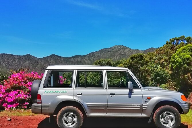 Nordeste - Wilderness Nature - Private Jeep Tour With Local Guide - Recommended Booking