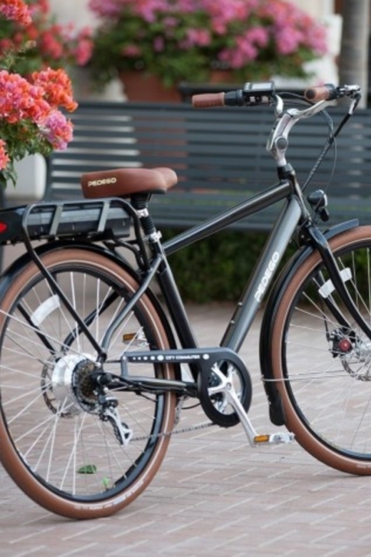 Norfolk: Electric Bike Rental - Key Points