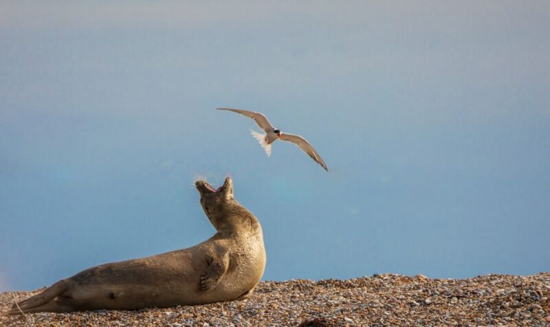 Norfolk: Hidden Gems Game and Big Britain Quiz Tour App - Recap