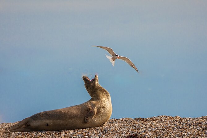 Norfolk Tour App, Hidden Gems Game and Big Britain Quiz (7 Day Pass) UK - Ticket Details