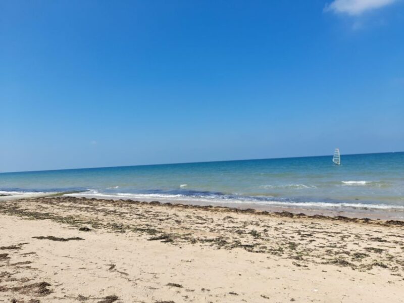 Normandy D-Day Beaches Private Canadian Sector From Caen - Fallen Soldiers Tribute