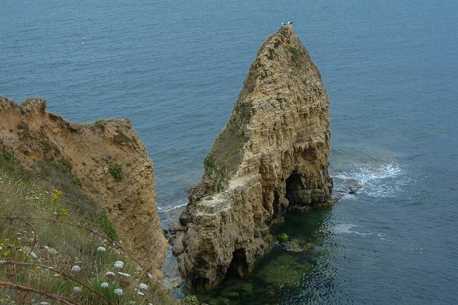 Normandy D Day Landing Shore Excursion Customized Private Tour From Le Havre - Exclusive Services With Licensed Guide