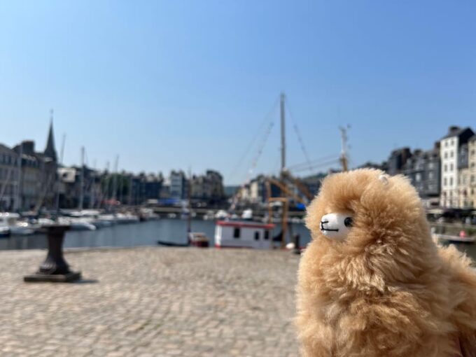 Normandy Tour: Honfleur, Etretat, Rouen by Comfort Car - Cancellation Policy