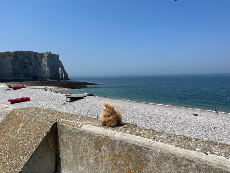 Normandy Tour: Honfleur, Etretat, Rouen by Mini-Van - Customizable Options