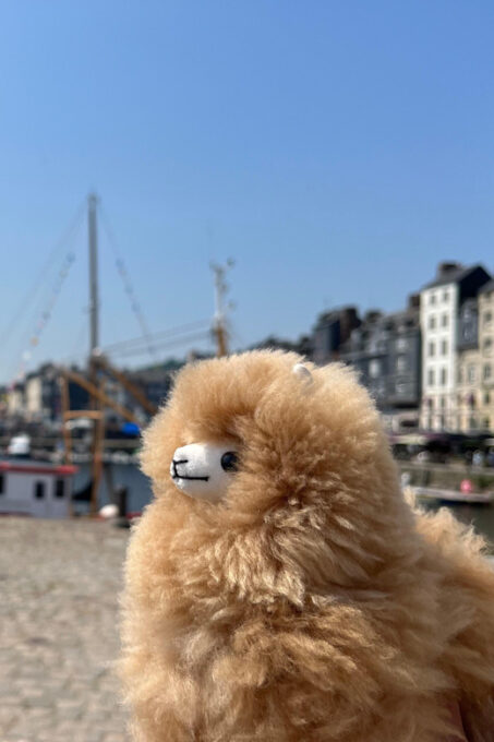 Normandy Tour: Honfleur, Etretat, Rouen by Mini-Van - Frequently Asked Questions