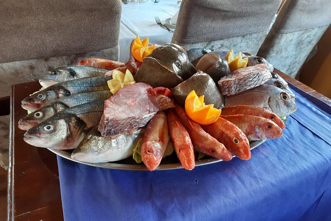 North Africa Tour to Utique-Bizerte-Ichkeul Park(Unesco) - Discover Bizerte