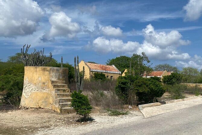 North and South Tour with Elgin a Local Guide - An In-Depth Look at the Bonaire North and South Tour