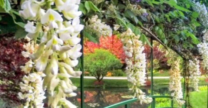 North Atlanta: Gibbs Gardens Self-Guided Slingshot Tour - Gibbs Gardens Details