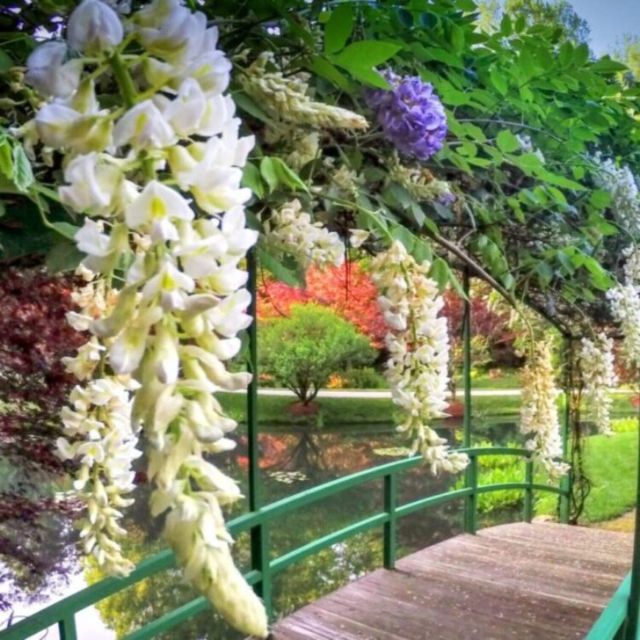 North Atlanta: Gibbs Gardens Self-Guided Slingshot Tour - Participant Restrictions