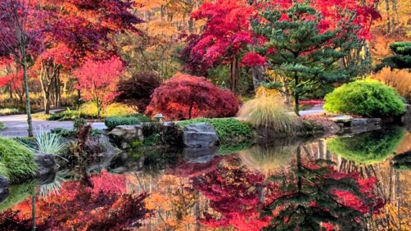 North Atlanta: Gibbs Gardens Self-Guided Slingshot Tour - Photography Opportunities
