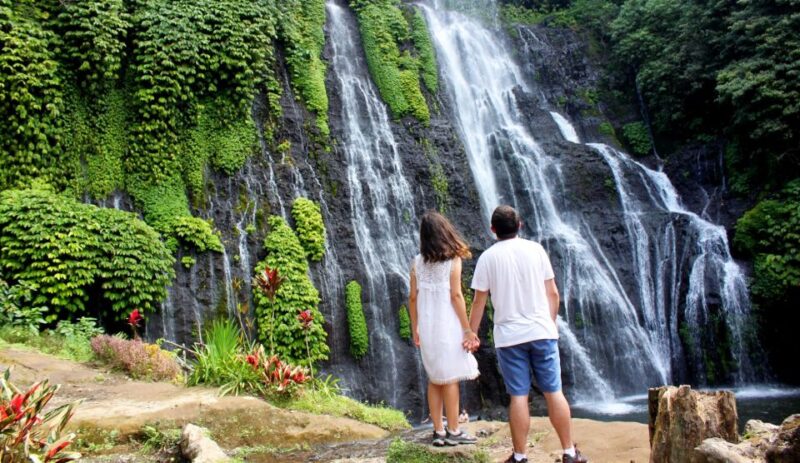 North Bali: Banyumala Waterfall and Ulun Danu Beratan Temple - Itinerary Highlights