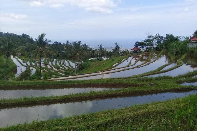 North Bali Cross Country Downhill Cycling - Participant Fitness and Health Considerations