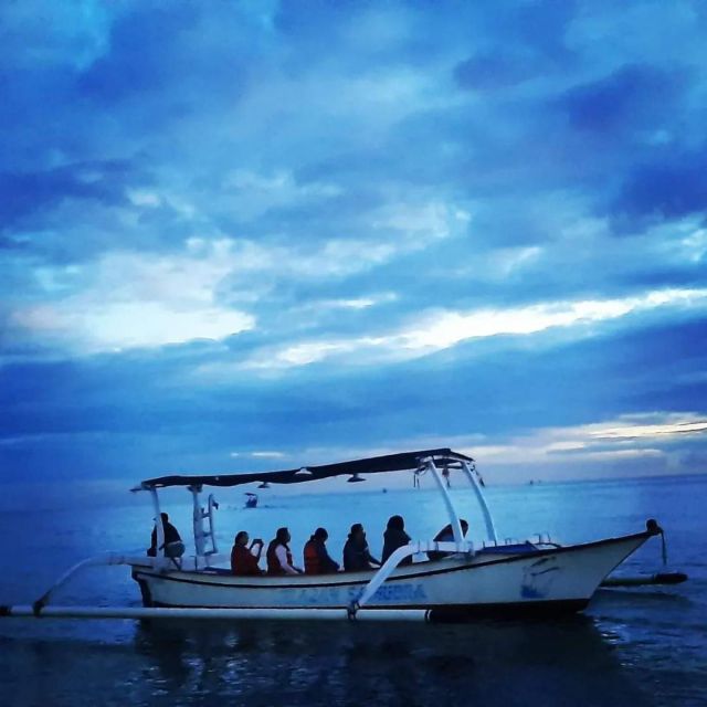 North Bali : Dolphin Lovina Beach & Aling-aling Waterfall - Itinerary Highlights