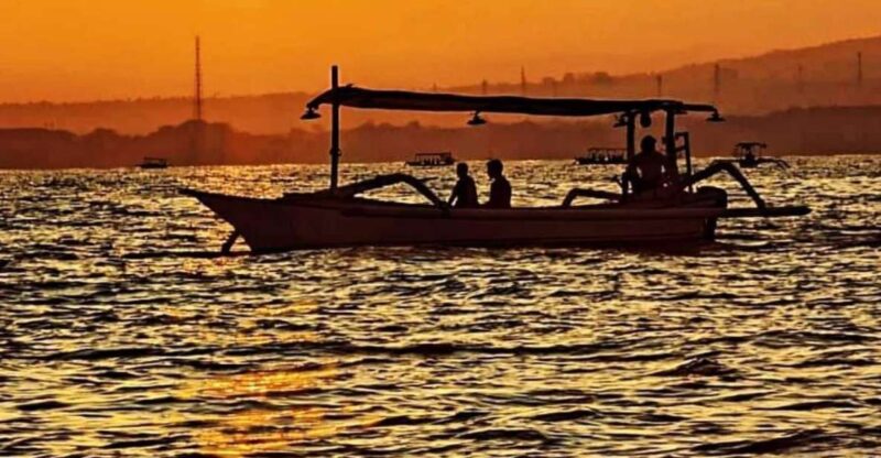 North Bali : Dolphin Lovina Beach & Aling-aling Waterfall - Dolphin Watching Experience