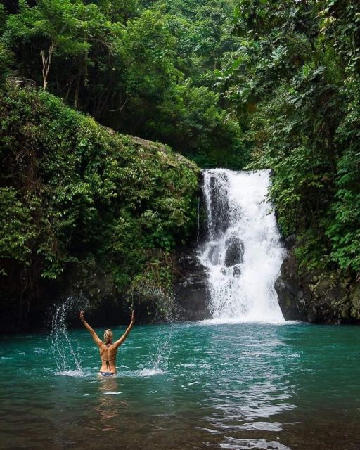 North Bali : Dolphin Lovina Beach & Aling-aling Waterfall - Aling-aling Waterfall Tour