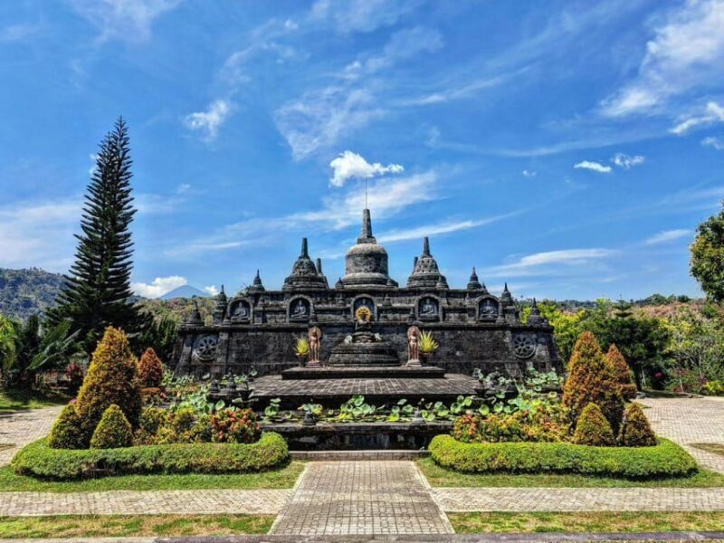 North Bali: Dolphins, Buddhist Temple, Hot Spring,Banyumala - Participant Information