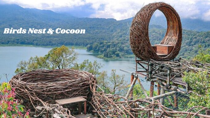 North Bali: Full Day INSTAGRAM HIGHLIGHTS Tour - Authentic Balinese Cuisine Lunch