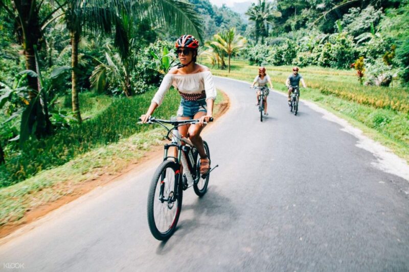 North Bali: Guided 4x4, Cycling & Hot Spring Day Trip - Key Points