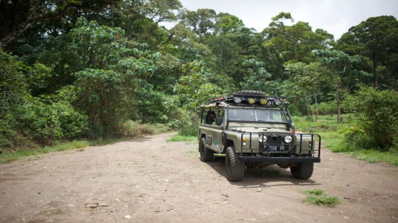 North Bali: Guided 4x4, Cycling & Hot Spring Day Trip - Itinerary and Activities