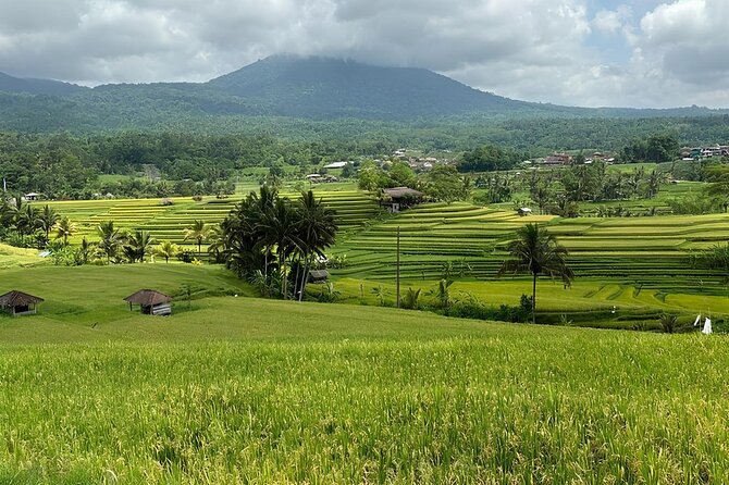 North Bali Heritage Private Full Day Tour - Handara Iconic Gate Photography
