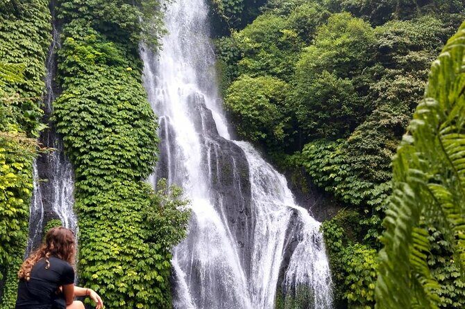 North Bali Hidden Gems Tour Ulun Danu Temple Twin Lakes Waterfall - What’s Included and What to Expect