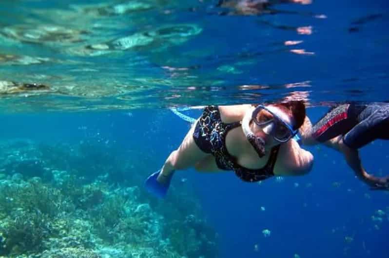 North Bali: Lovina Dolphin Watching & Snorkeling Tour - Transportation and Logistics