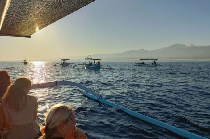 North Bali: Lovina Dolphin Watching & Snorkeling Tour - Important Considerations