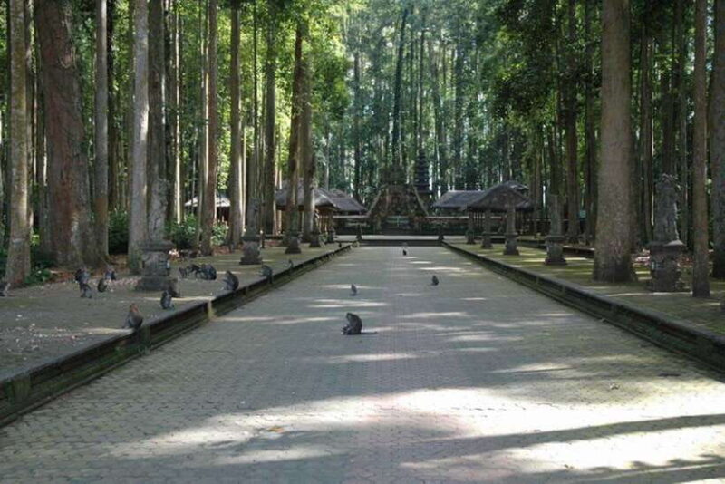North Bali: Monkey Forest -Waterfall- Rice Terrace-Ulun Danu - Itinerary and Highlights