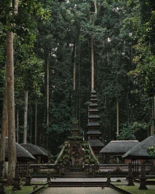 North Bali: Monkey Forest -Waterfall- Rice Terrace-Ulun Danu - Leke Leke Waterfall