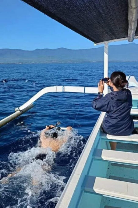 North Bali : Sunrise Dolphin Trip at Lovina Beach - North Balis Black Sand Beaches